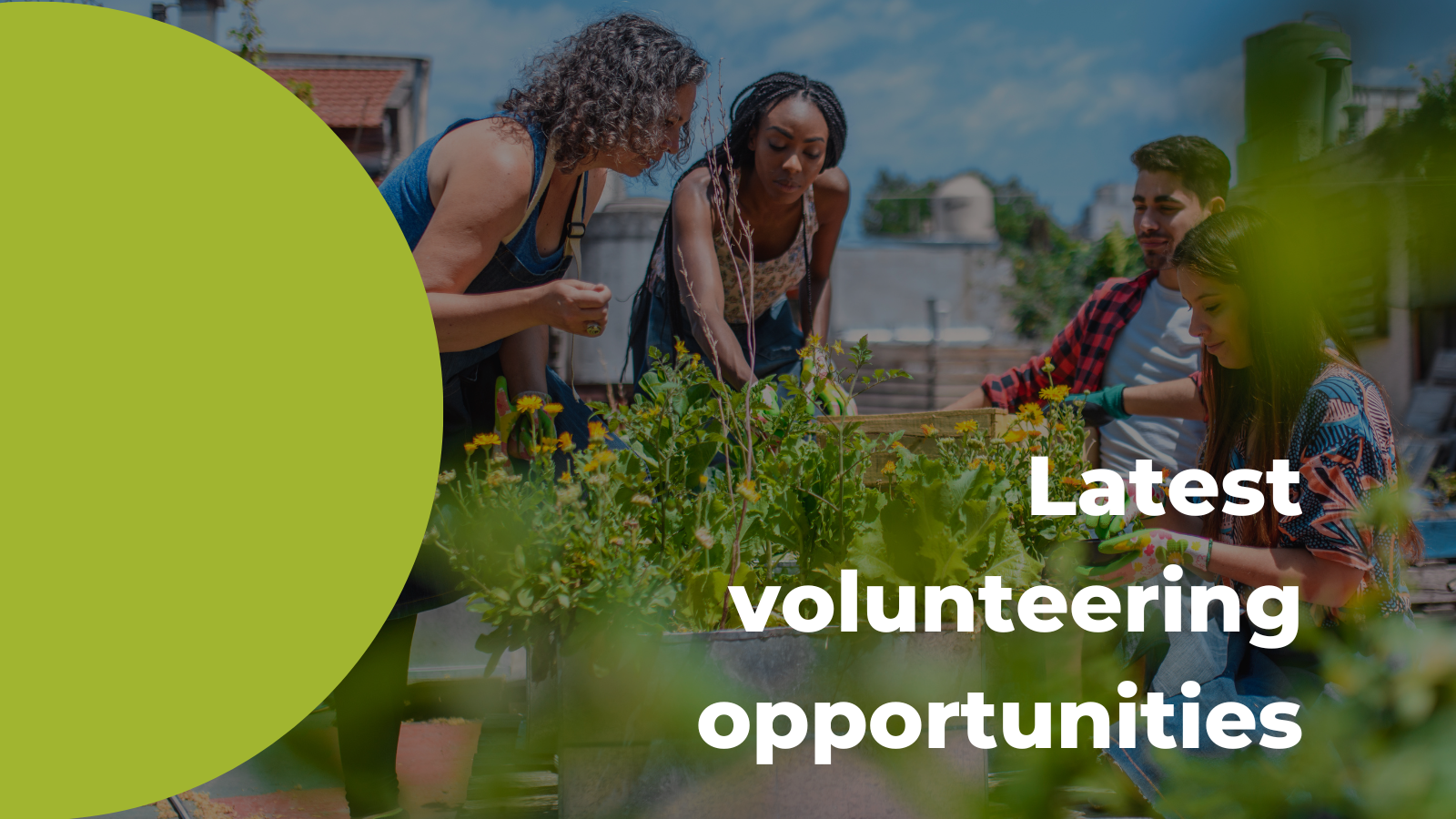 Featured image for “Latest volunteering opportunities”