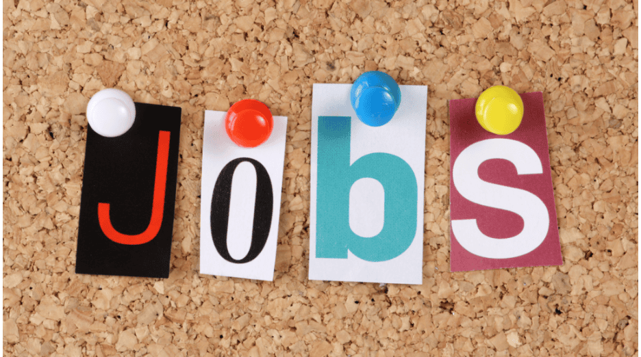 Featured image for “Job opportunity with SCVO”