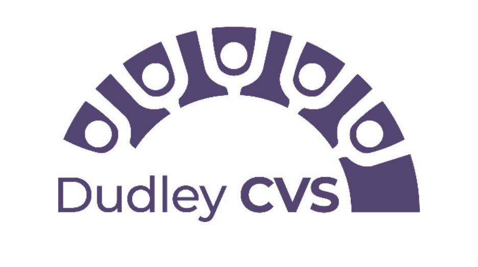 Featured image for “VCS Health and Social Care Network”