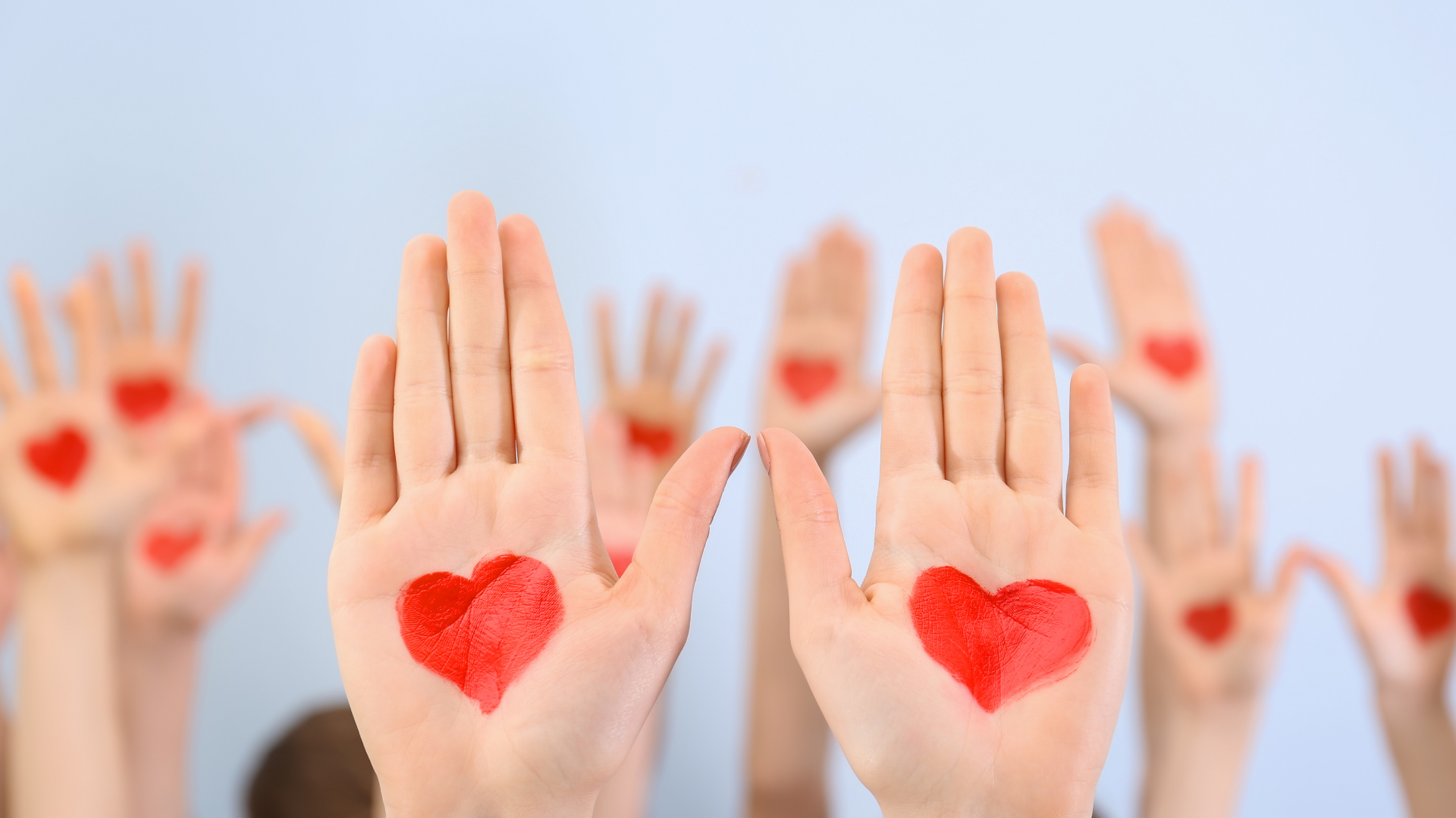 Featured image for “Find your next volunteer opportunity today!”